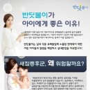 소나무어린이집 이미지