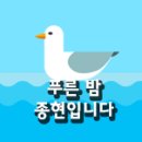 빵먹고싶다 이미지