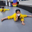 한솔 세계로 태권도 이미지