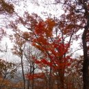 진해연세병원 - 3254 | 진해연세병원