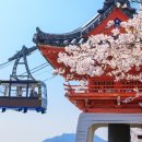 주-010-진원초등학교 앞01 | 제주일본전세기제주직항전세기11월22일제주출발확정일본히로시마3일제주일본히로시마3일제주직항해외...