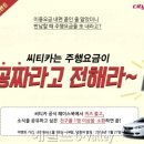 씨티카써비스 헤럴드경제