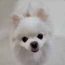 올리스 일산백석점 이미지