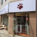 별에서 온 뿌꾸 이미지