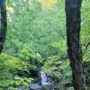 방태천민박 이미지