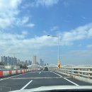 회동상회 | 노량진 수산시장 전라상회, 평일 방어 회동 ,, 🐟