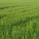 정진태의원 이미지