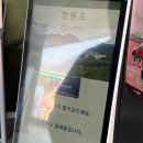 영월-68 | 강원도 영월 청령포 단종 유배지 평일 방문 후기 (주차, 입장료)