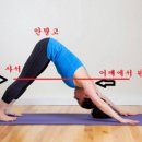 동학커넥트 이미지