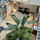 영도구-1 | 부산 영도 뷰 맛집 대형카페 와인드 후기