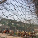 김영이 농장 이미지