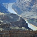 하슬라에코 이미지