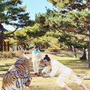 청풍문화단지 이미지