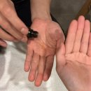 동방빌딩별관(관리실) | 🌿[서울/서초] 배기영힐링테라피 신사점 보톡스보다 만족스러웠던 얼굴축소 관리 체험 후기💆‍♀️✨