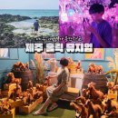 평화로04 | 제주 애월 가볼만한곳 후기 제주도 아이랑 여행
