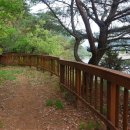 강변의 수채화 이미지