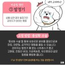 강아지 정보(마운팅 원인과 교정) 68 이미지