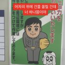 일심어페럴 | 낡아빠진팬티만주구장창보는일상