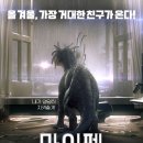 짝궁펫 네이버블로그