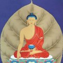 양지-3358 이미지