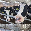 재원목장 이미지