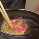 우보가스