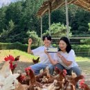 쉴만한 농원 이미지