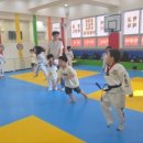 칭찬태권도장 이미지