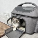 데일리데일리:194 (+<b>이사</b><b>스토리</b>)