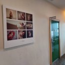 다온누리 이미지