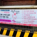 라엘에듀 이미지