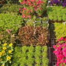 경기종묘농자재 이미지