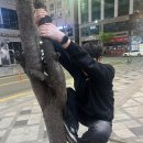 깐부노래연습장 이미지