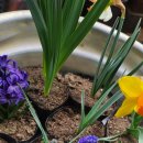 병옥농장 이미지