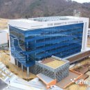 케이메디 전자신문