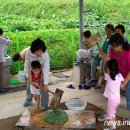 평동전통떡마을 이미지