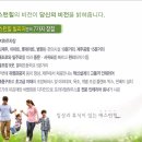 제주 애월 희소가치 100% 영구조망 팬트하우스(복층) 애스턴힐 이미지