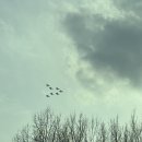 라파엘의료기 이미지