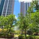 옥정서로 이미지