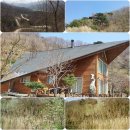 별빛산방 이미지