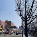 챔프커피 이미지