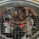 다운고기백화점식육식당 이미지