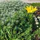 동백호수공원 이미지