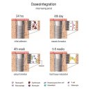 서울용한치과의원 이미지
