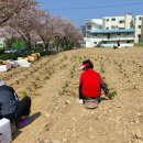 박하향기협동조합 이미지