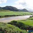 화천 황쏘가리 서식지 이미지