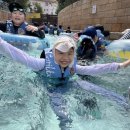 충효예무술관 - 용인시 기흥구 보정로 109 | 충효예무술관