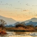 화포천농촌체험마을 이미지