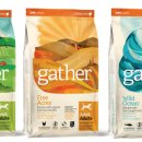 (주)이-글벳 이미지