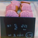 파네다